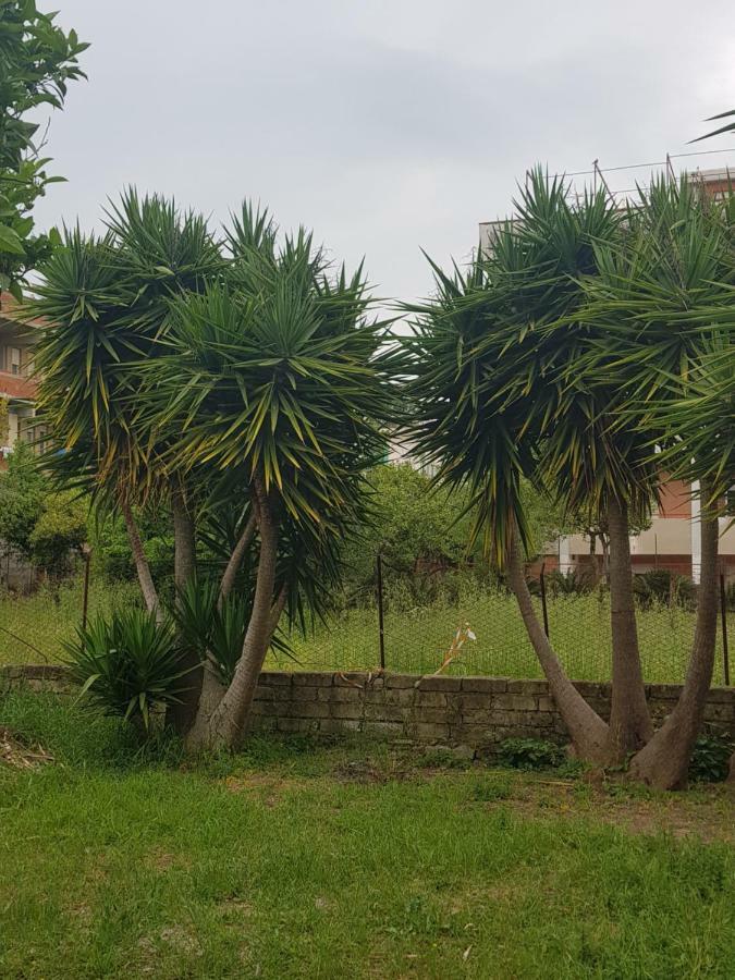 "Il Nespolo" Villa Scauri  Eksteriør billede